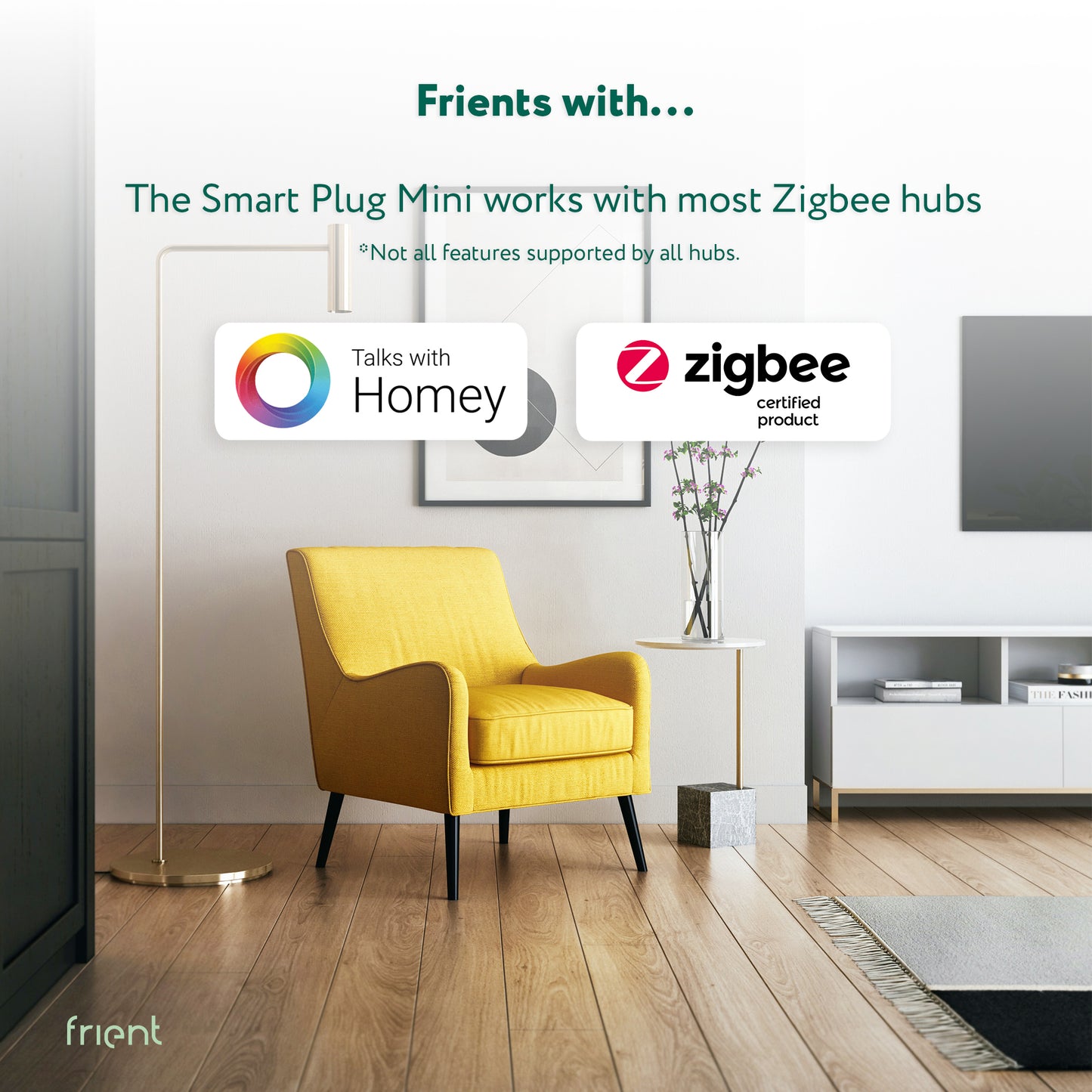 Frient Smart Plug Mini 2 (Type F) - Schuko (Zigbee)