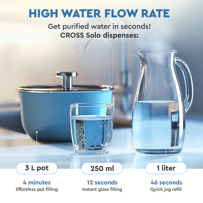 Ecosoft CROSS Solo direct flow reverse osmosis filter