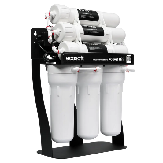 Ecosoft RObust Mini direct flow reverse osmosis system