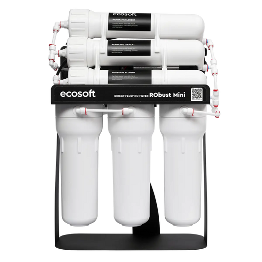 Ecosoft RObust Mini direct flow reverse osmosis system