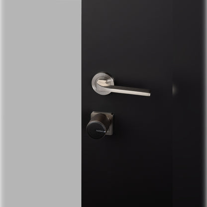 Tedee Lock PRO Satin Steel (Bluetooth)