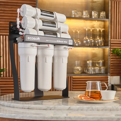 Ecosoft RObust Mini direct flow reverse osmosis system