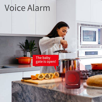 Thirdreality Door Sensor (Zigbee)