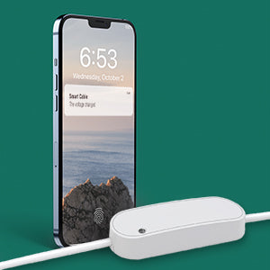 frient Smart Cable 2 (Zigbee)